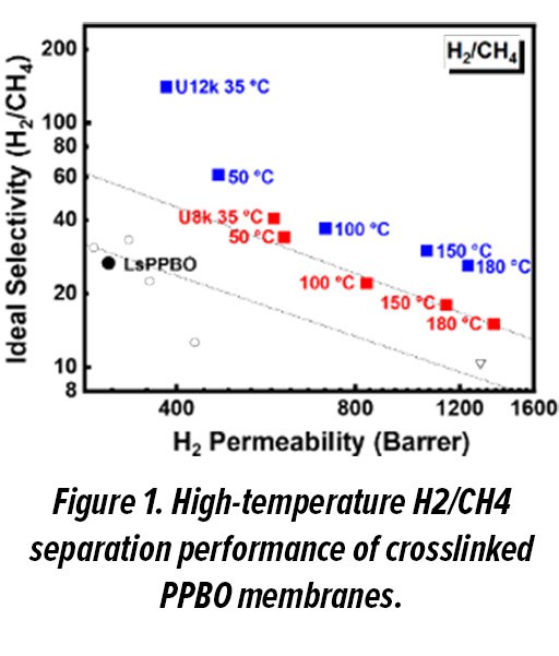 Research T6 Figure 1.jpg