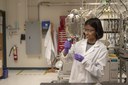 REU in Miller Lab.jpg