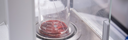 lab4.png